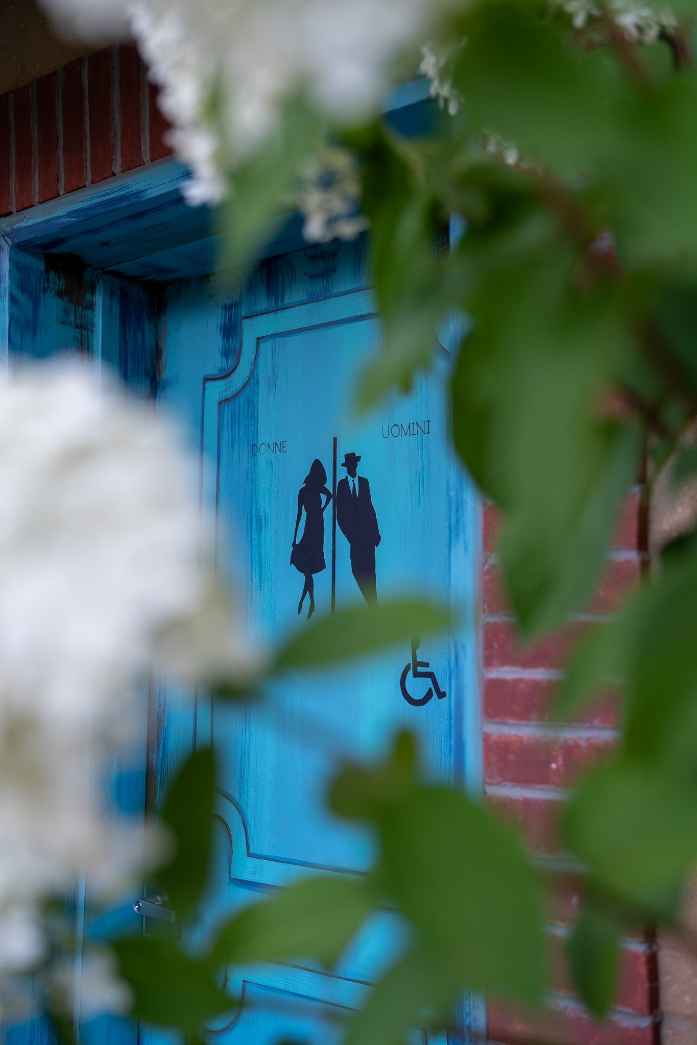 Blue door with Italian words 'Donne' and 'Uomini' and silhouettes of a woman in a dress, a man in a suit and hat, and a handicap accessibility symbol, partially obscured by green leaves.